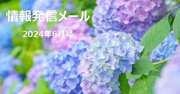 情報配信メール2024年6月号